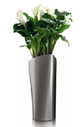 offic eplant lechuza delta calla