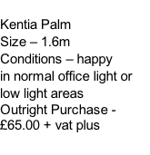 Kentia Palm Size – 1.6m Conditions – happy  in normal office light or low light areas  Outright Purchase - £65.00 + vat plus