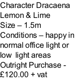 Character Dracaena Lemon & Lime  Size – 1.5m  Conditions – happy in normal office light or low  light areas  Outright Purchase - £120.00 + vat