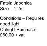 Fatsia Japonica Size – 1.2m  Conditions – Requires good light  Outright Purchase - £60.00 + vat