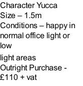 Character Yucca Size – 1.5m  Conditions – happy in normal office light or low  light areas  Outright Purchase - £110 + vat