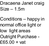 Dracaena Janet craig Size – 1.5m  Conditions – happy in normal office light or low  light areas  Outright Purchase - £65.00 + vat