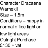 Character Dracaena Warnekii   Size – 1.5m  Conditions – happy in normal office light or  low light areas  Outright Purchase - £130 + vat