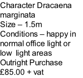 Character Dracaena marginata Size – 1.5m  Conditions – happy in normal office light or low  light areas  Outright Purchase £85.00 + vat