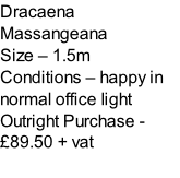 Dracaena Massangeana Size – 1.5m  Conditions – happy in normal office light  Outright Purchase - £89.50 + vat